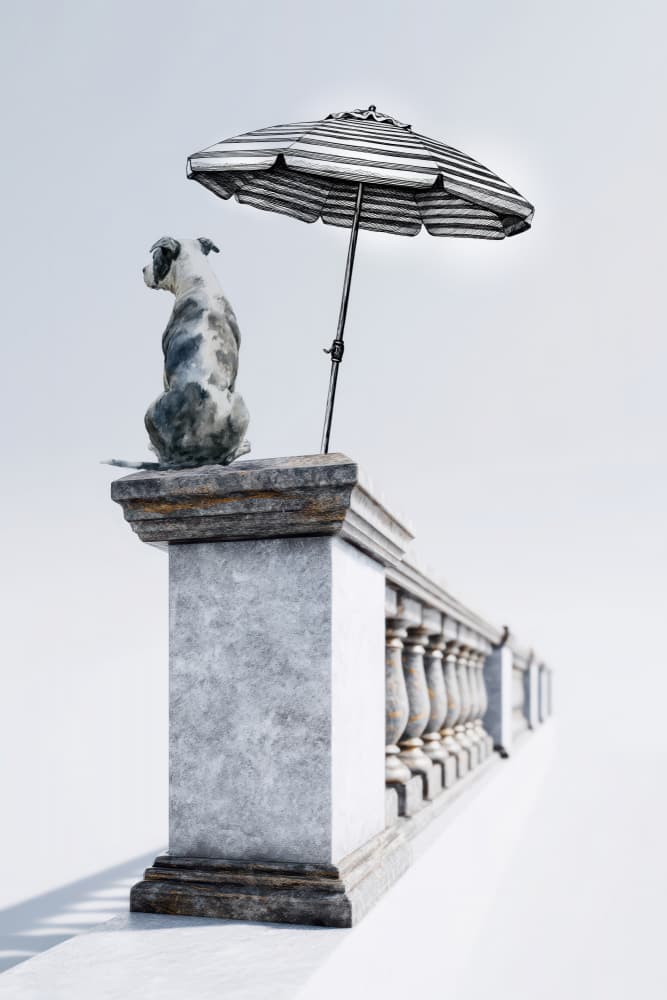 Peaceful Dog Under Umbrella by Rafal Kulik — canvas wall art