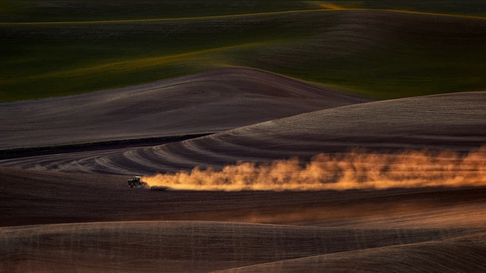 Tractor In Golden Dust by Leechee Z — canvas wall art