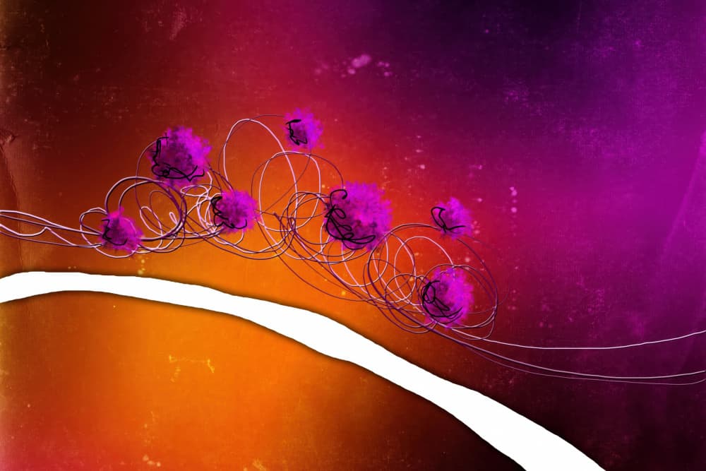 Magenta Abstract Swirls by Rafal Kulik — canvas wall art