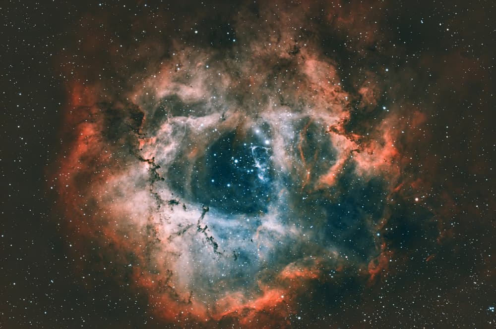 Cosmic Rose Nebula by James Zhen Yu — canvas wall art