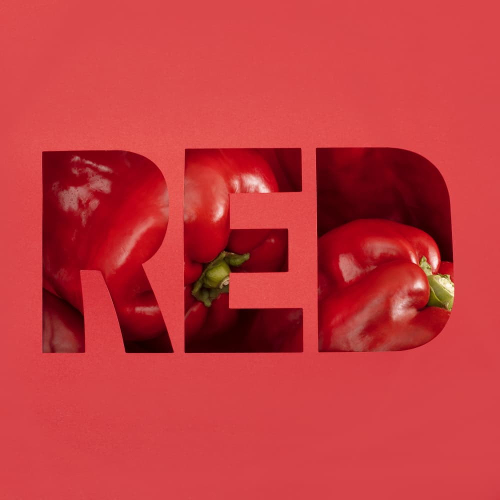 RED Bell Peppers by Julia Ramiro — canvas wall art