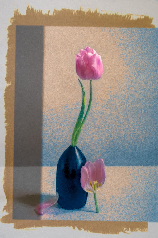 Pink Tulip Still Life by Birdie Ni — canvas wall art