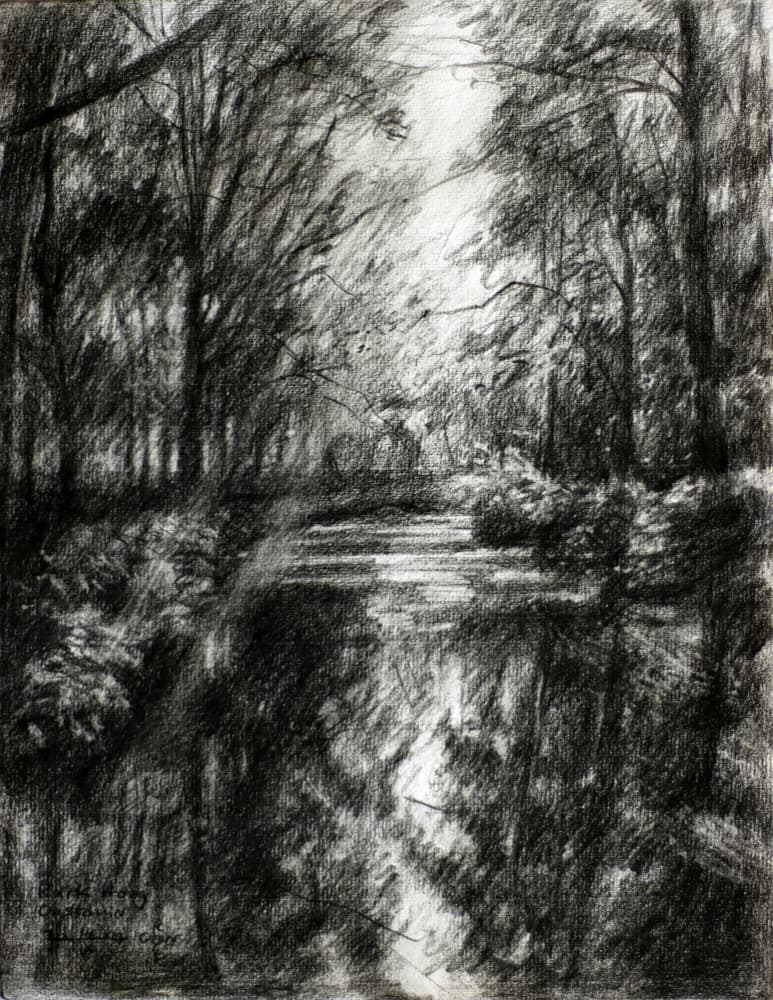 Winding Forest Path by Corné Akkers — canvas wall art