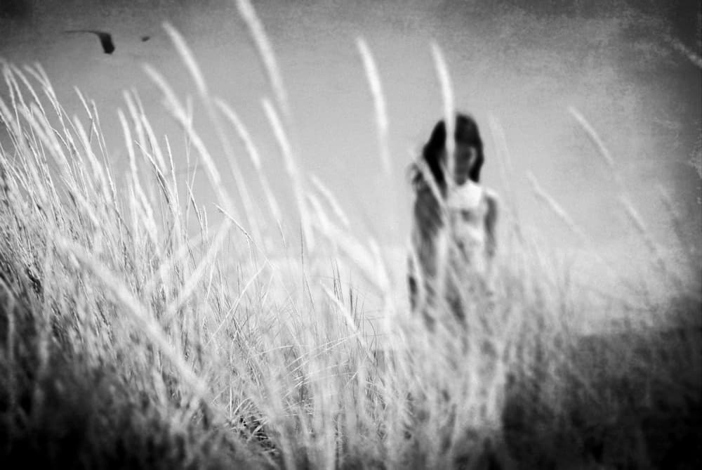 Dreamy Girl Tall Grass by Milena Seita — canvas wall art