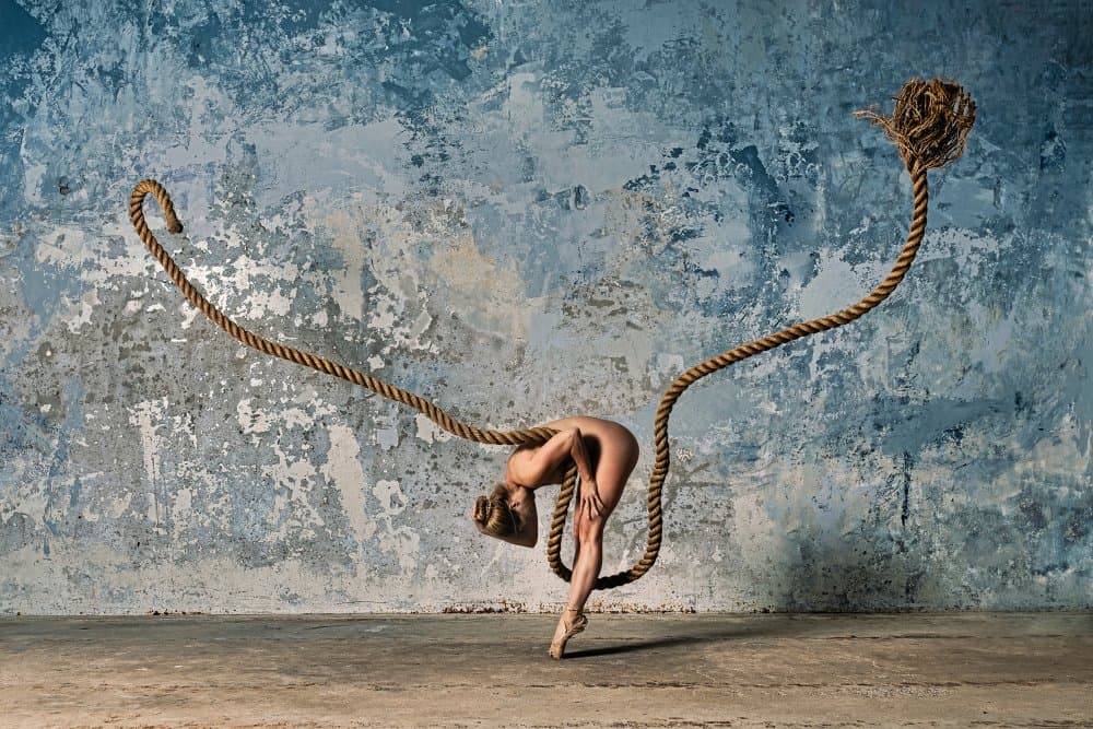 Elegant Constraint by Ray Fritz — canvas wall art