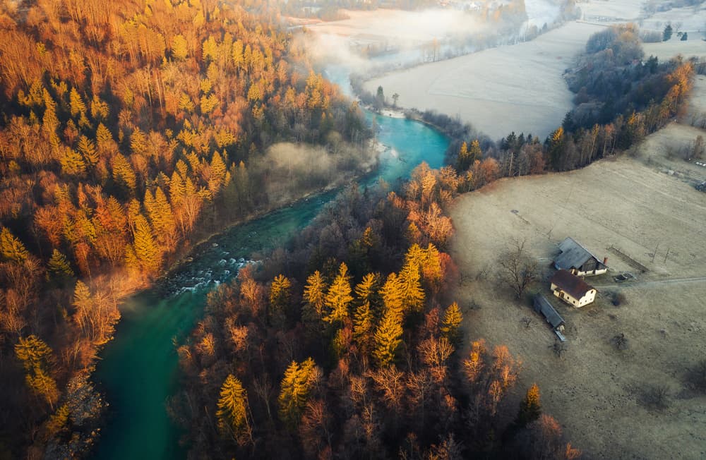 Golden River Morning by Ales Krivec — canvas wall art