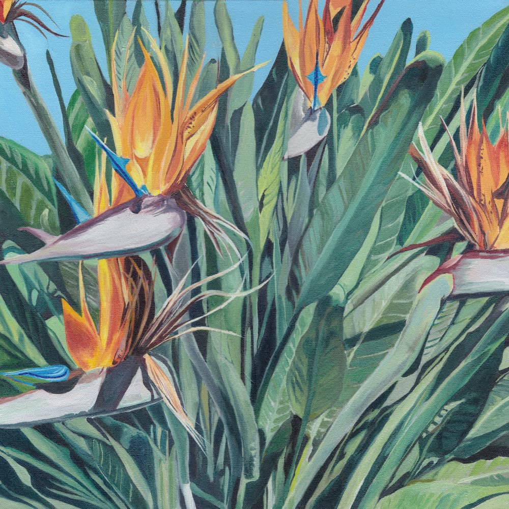 Vibrant Bird of Paradise by Viccy Wanliss — canvas wall art