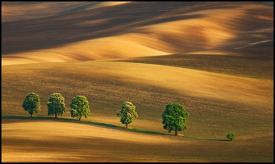 Rolling Fields, Green Trees by Krzysztof Browko — canvas wall art