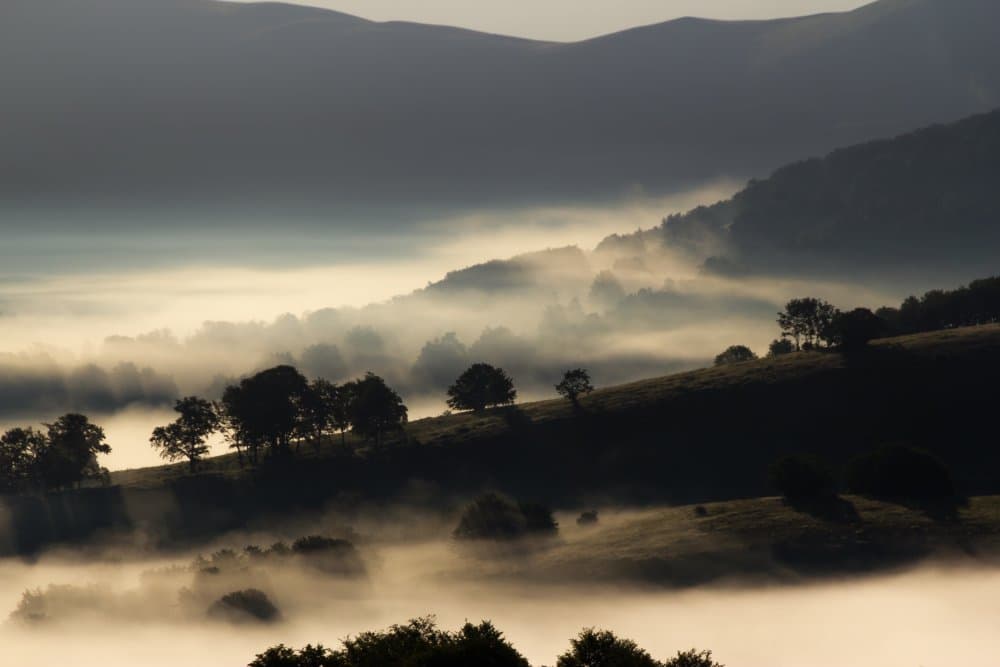 Misty Golden Hills by Gianluca Li Causi — canvas wall art
