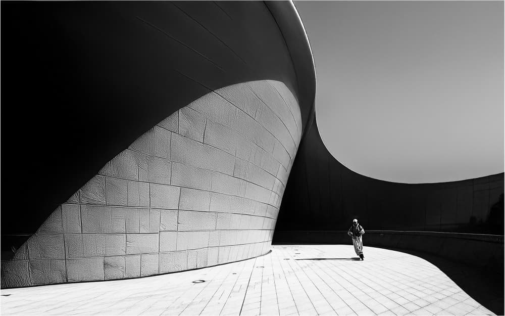 Modern Curves Light by Parole Kim — canvas wall art