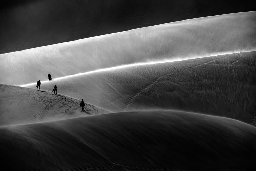 Dune Walkers In Wind by Q Liu — canvas wall art