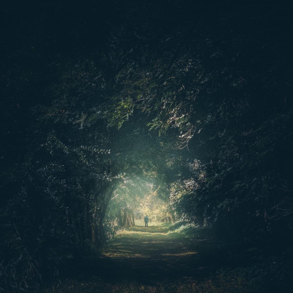 Sunlit Forest Path by Andrea Fraccaroli — canvas wall art