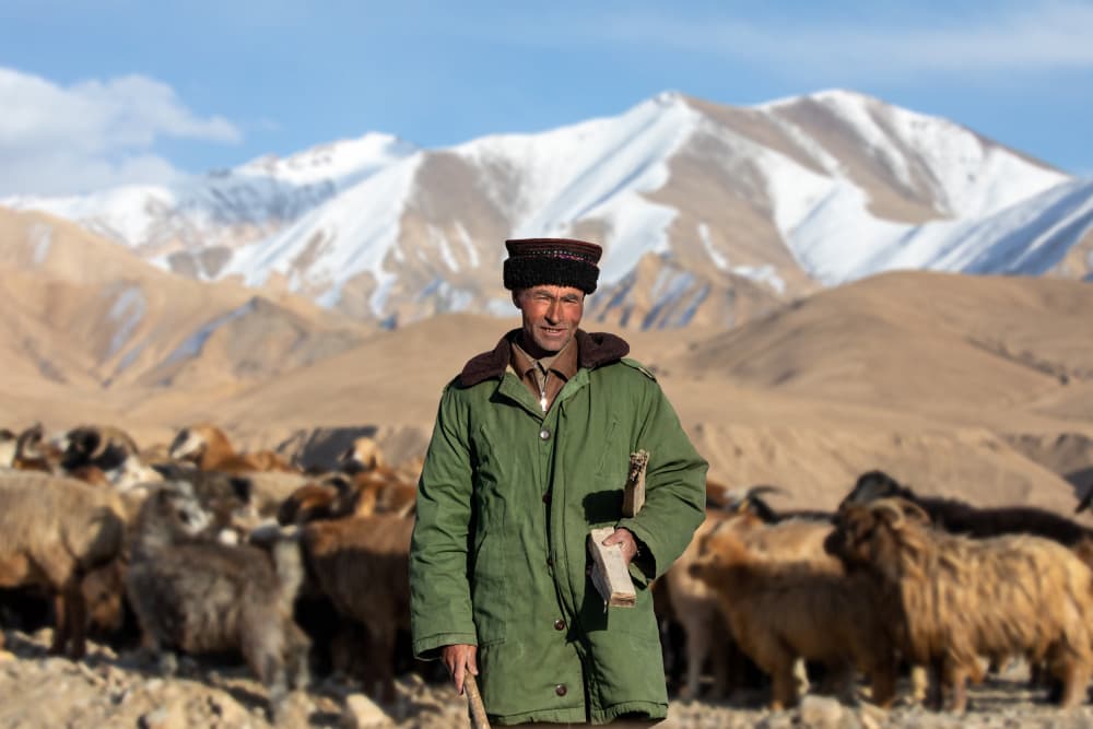 Smiling Mountain Shepherd by Hsiao-Yang Fei — canvas wall art
