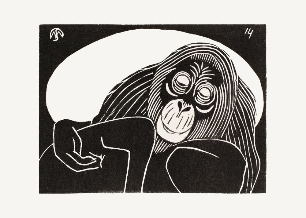 Orangutan by Samuel Jessurun — canvas wall art