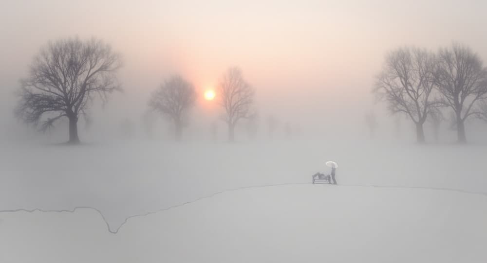 Lone Figure In Fog by Molly Fu APA — canvas wall art