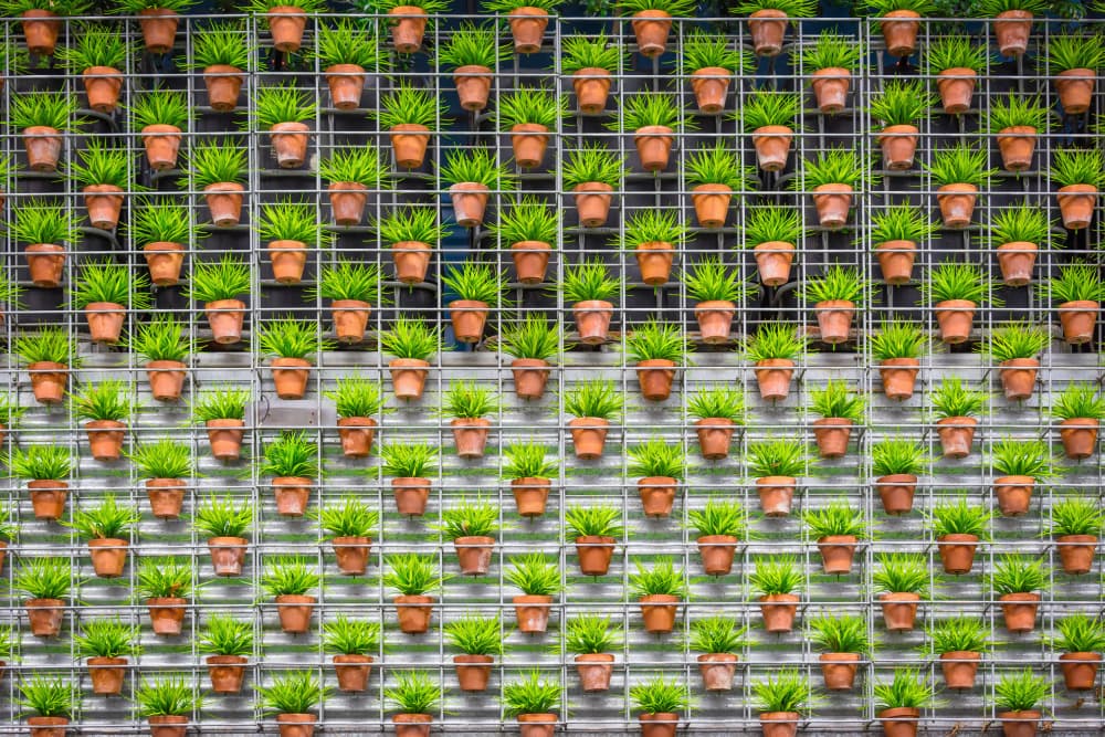 Lush Vertical Garden by Gloria Salgado Gispert — canvas wall art