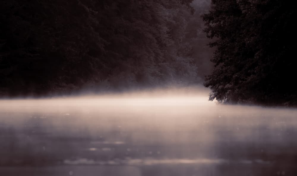 Misty Winter Morning by Foto Tinca — canvas wall art