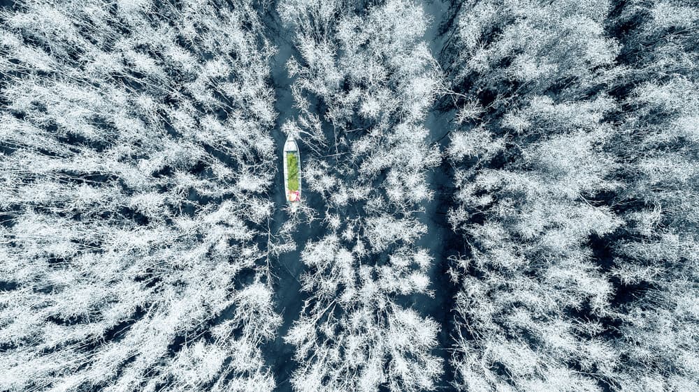 Green Boat Snow Forest by Nguyen Tan Tuan — canvas wall art