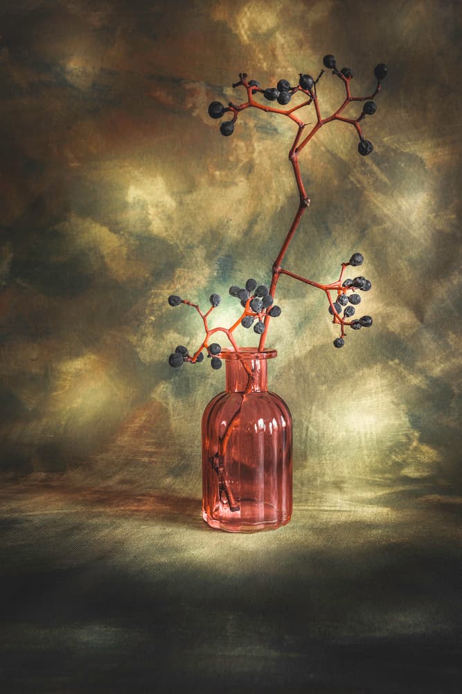 Moody Berries Still Life by Cicek Kiral — canvas wall art