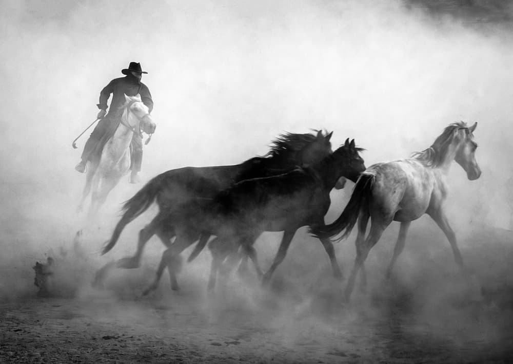 Cowboy Chasing Wild Horses by Gilcan Mete — canvas wall art