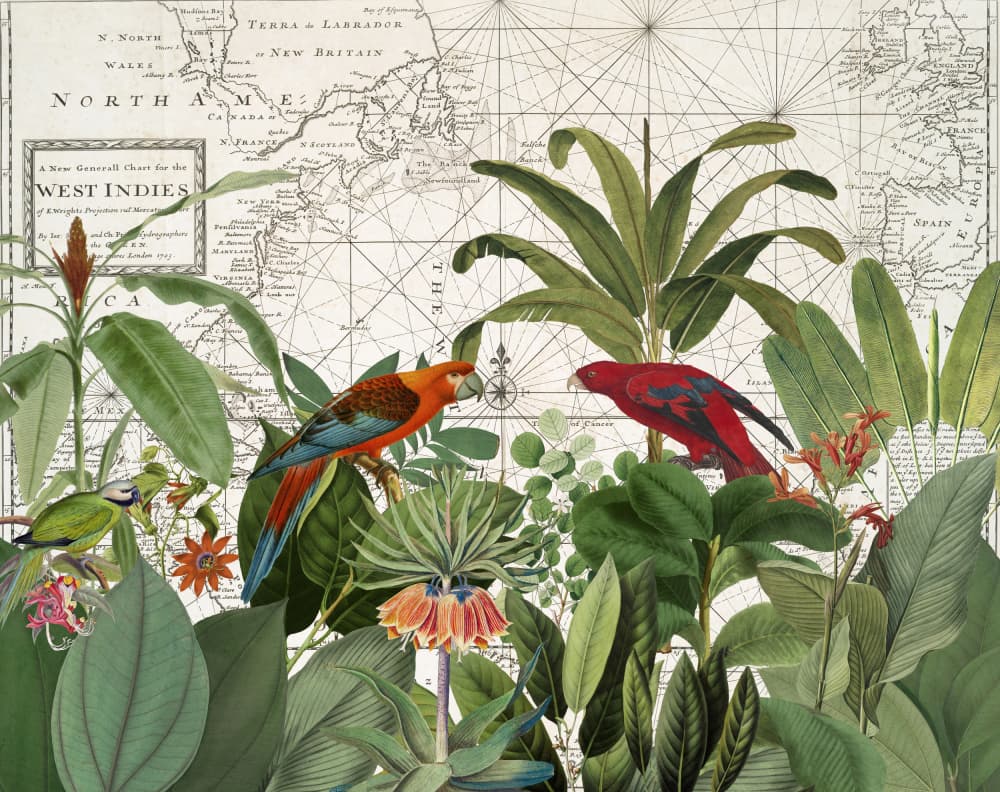 Tropical Map Exploration by Andrea Haase — canvas wall art