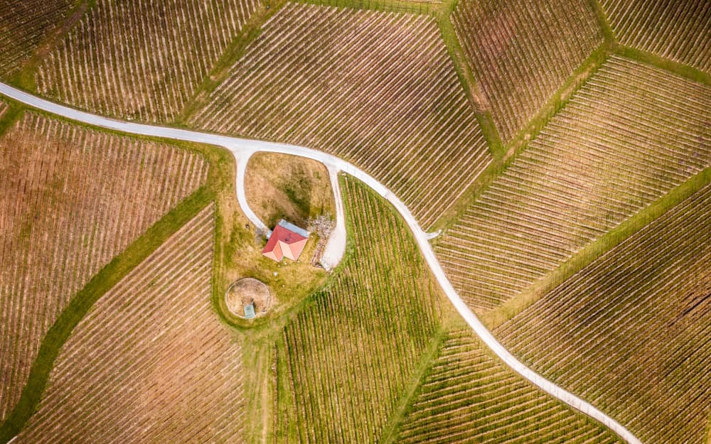 Aerial Vineyard House by Joško Šimic — canvas wall art