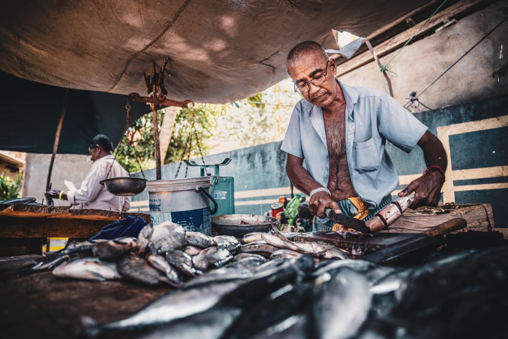 Fishmonger at Work by Marco Tagliarino — canvas wall art