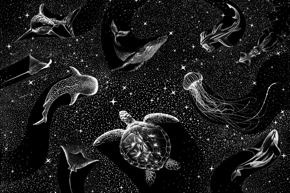 Cosmic Ocean Animals by Alirıza ÇAKIR — canvas wall art