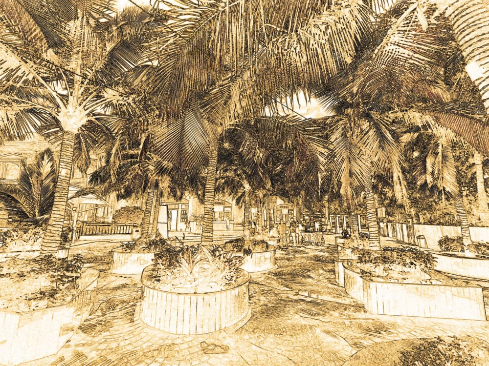 Tropical Palm Pathway by Santhosh ch — canvas wall art