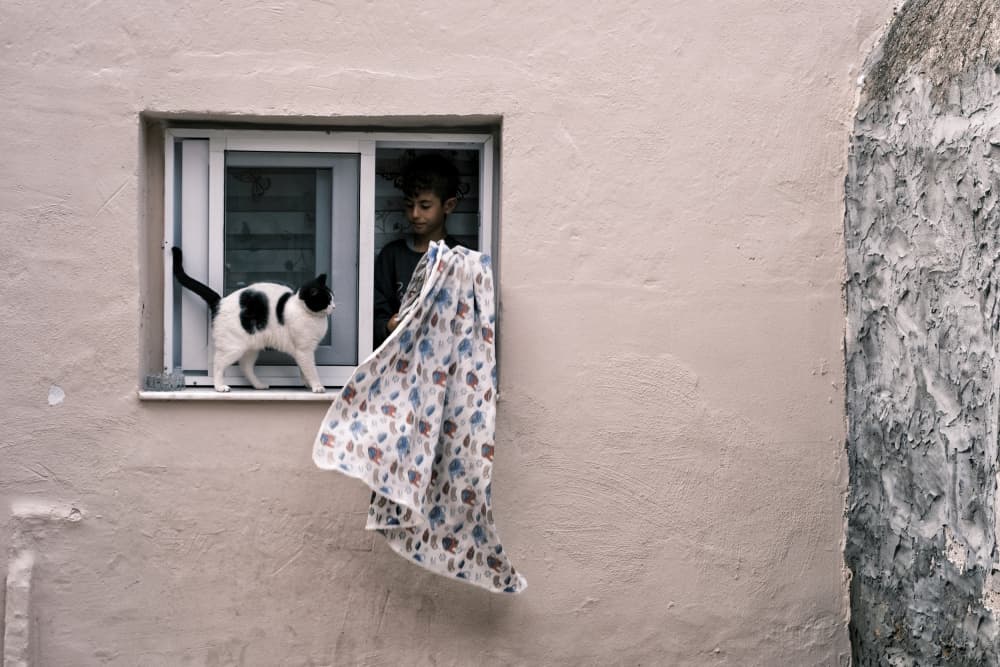 Boy and Cat Window by Ali Ayer — canvas wall art