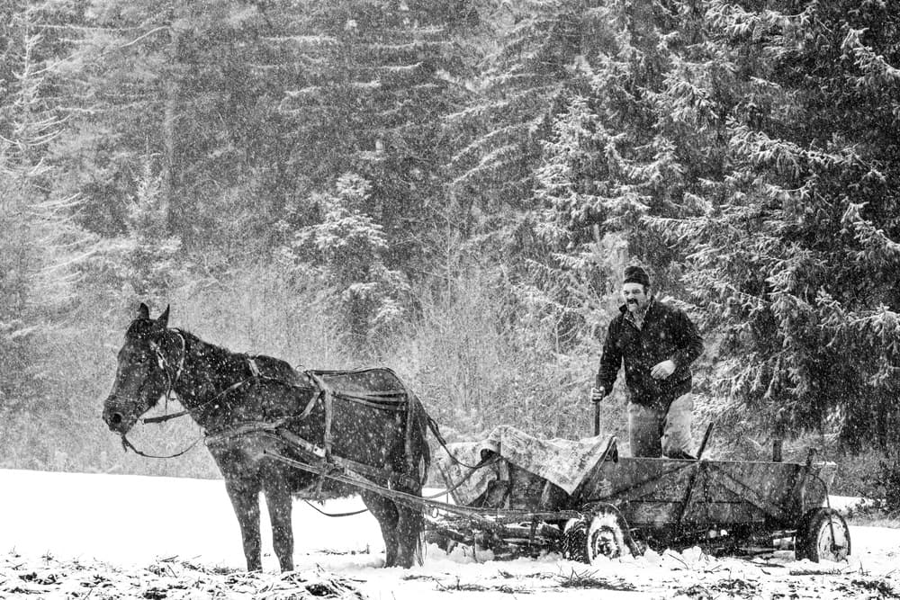 Horse And Man In Snow by Faris Saieda — canvas wall art