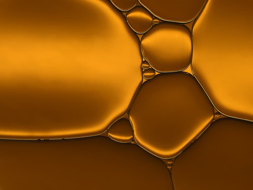 Golden Liquid Forms by Heidi Westum — canvas wall art