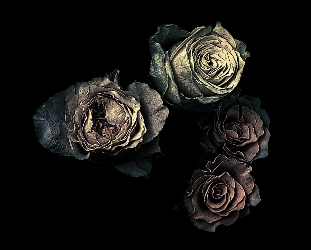 Elegant Metallic Roses by Angel Julie — canvas wall art