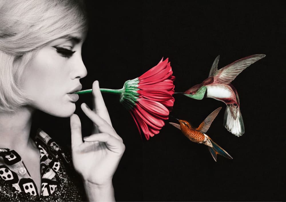 Woman Red Flower Hummingbirds by Paste in Place — canvas wall art
