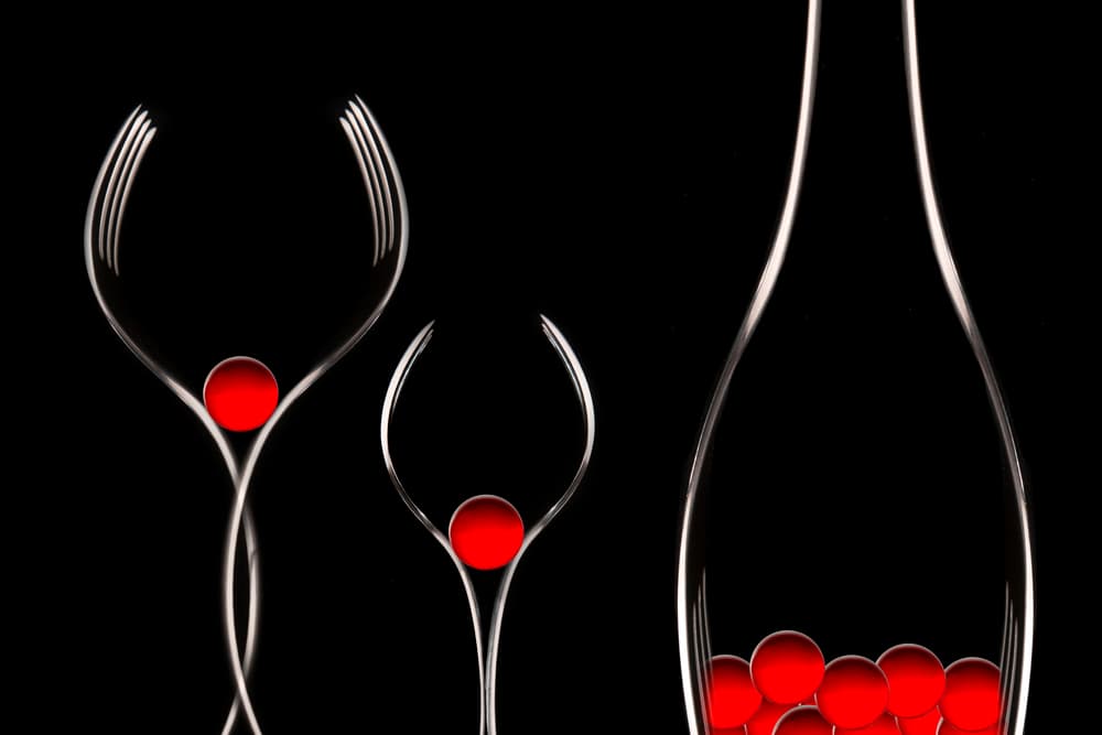 Elegant Wine Silhouette by Doris Reindl — canvas wall art
