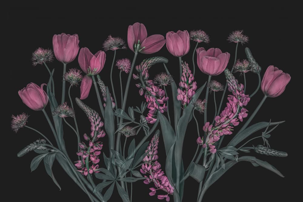 Moody Pink Blooms by Lydia Jacobs — canvas wall art