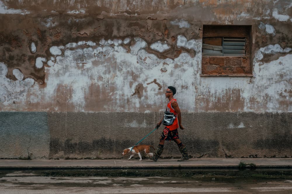 Man Walks Dog Urban Wall by Andy Bauer — canvas wall art