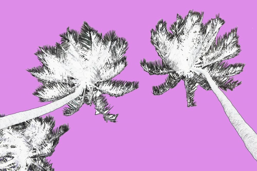 Purple Sky Palms by Santhosh ch — canvas wall art