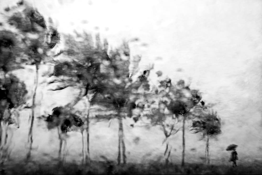 Lone Figure Windy Path by Ekkachai Khemkum — canvas wall art
