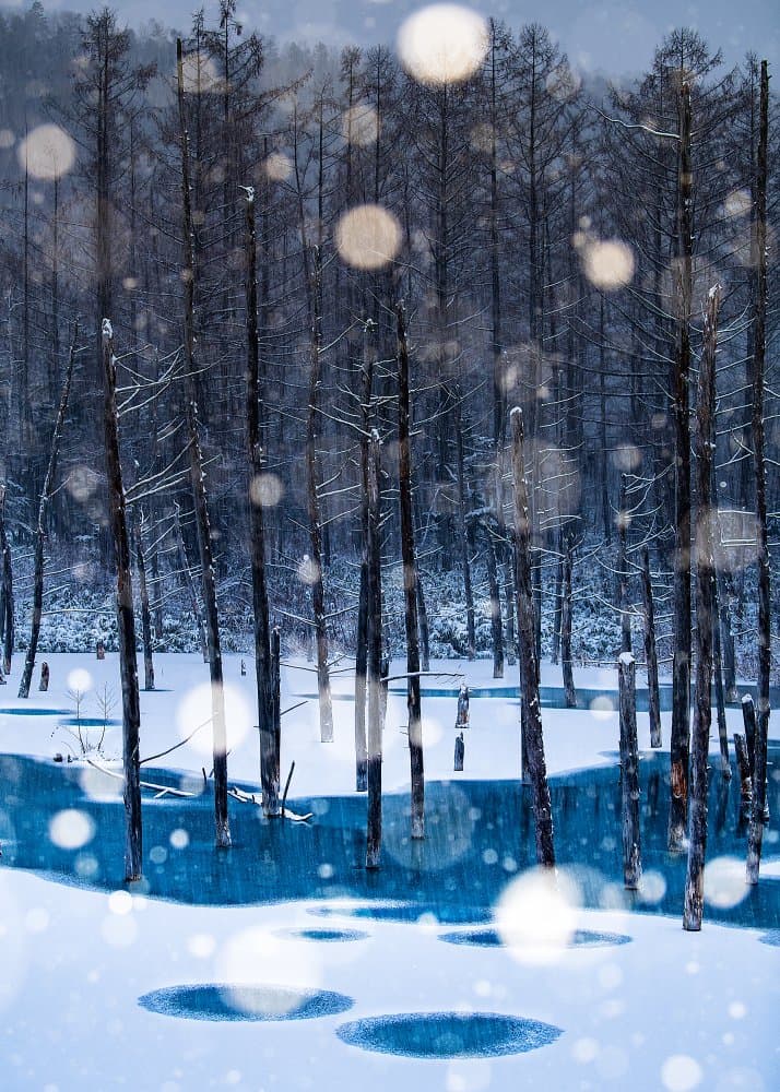 Frozen Blue Pond Winter by Hidenori Sono — canvas wall art