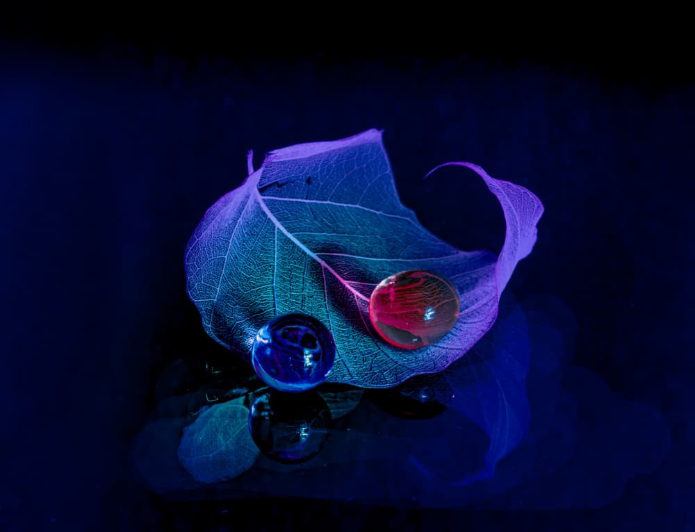 Glowing Leaf Marbles by Marsha Ma — canvas wall art