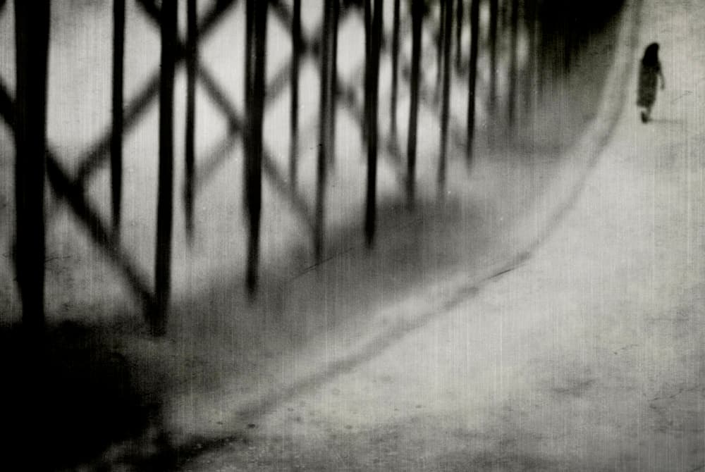 If I Go, I'm Going by Milena Seita — canvas wall art