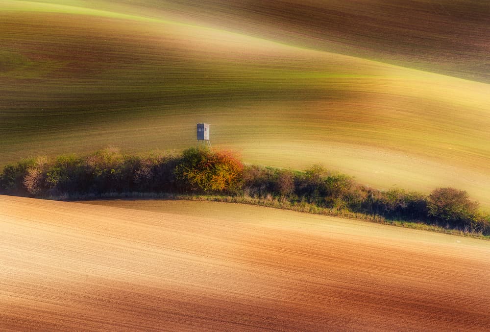 Wavy Fields Hunting Stand by Piotr Krol (Bax) — canvas wall art
