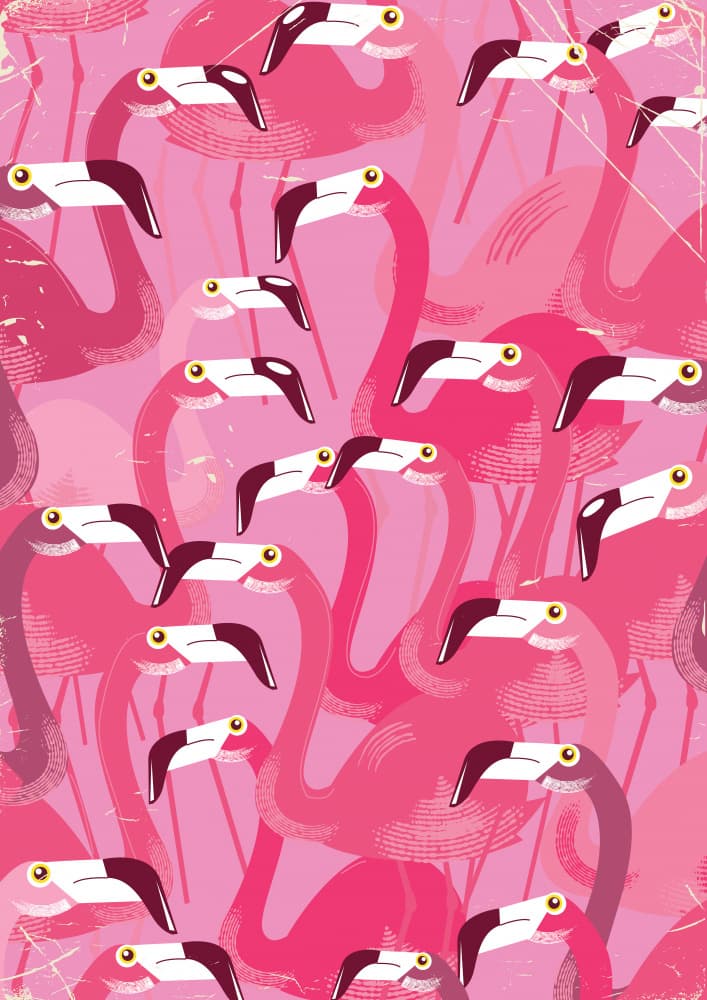 Pink Flamingo Pattern