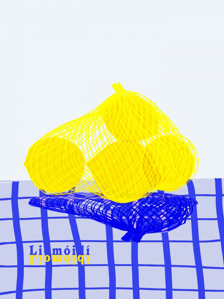Fresh Citrus Still Life by Charlotte Trudgett — canvas wall art