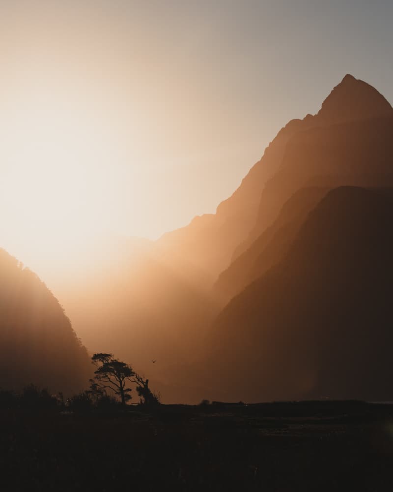 Golden Valley Mist by Zoltan Regius Polgar — canvas wall art