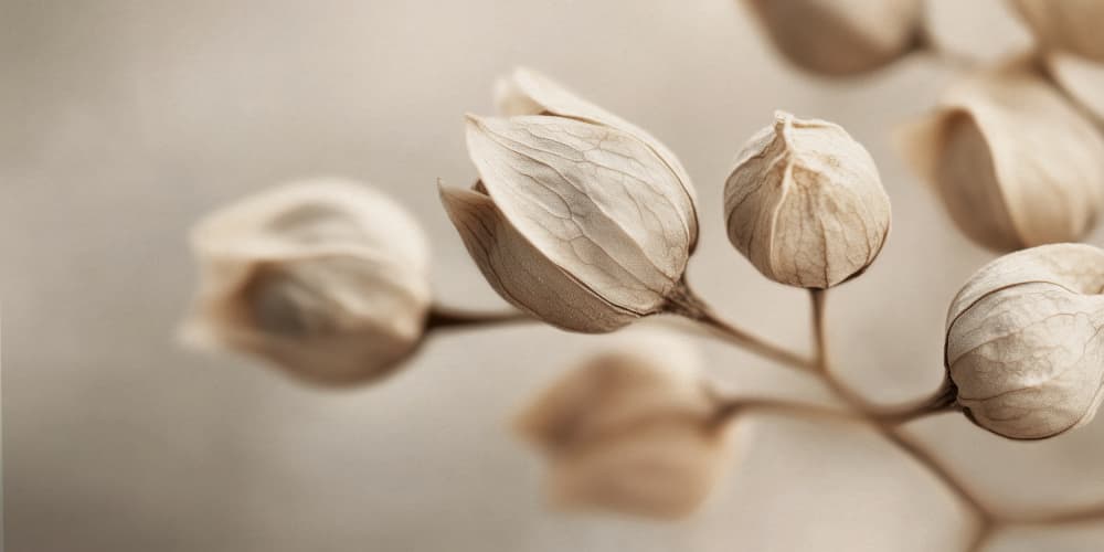 Whispering Petals by Treechild — canvas wall art