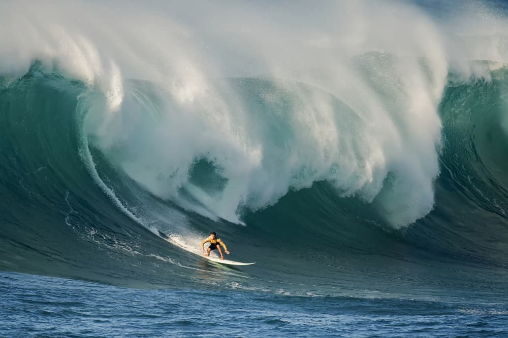 Surfer on Giant Wave by David H Yang — canvas wall art