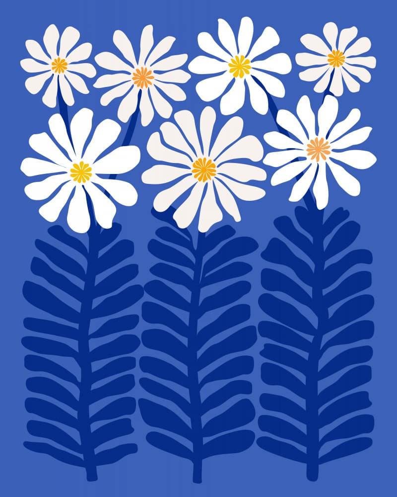 Daisy Dreams by Kristian Gallagher — canvas wall art