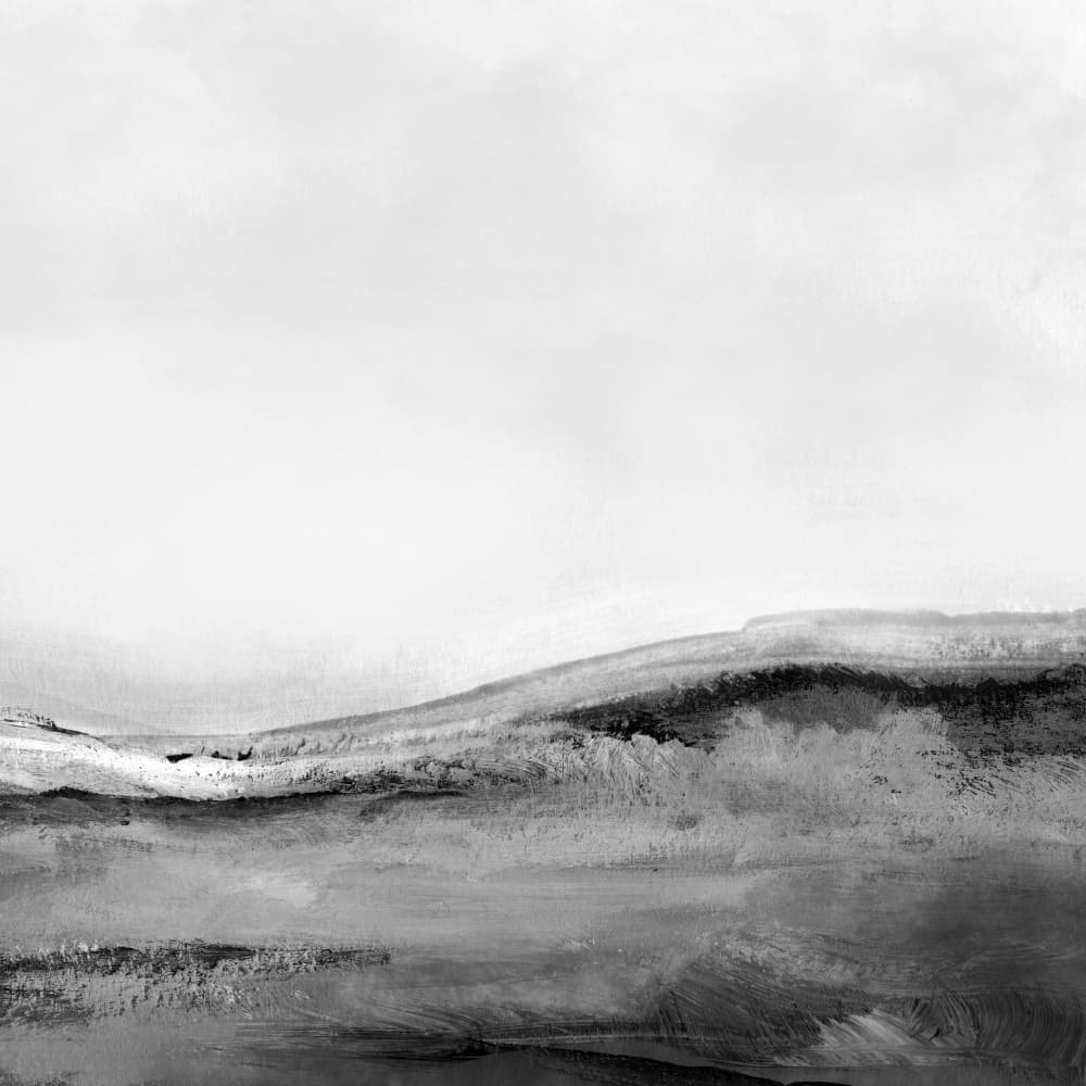 Mono Landscape No2 by Dan Hobday — canvas wall art